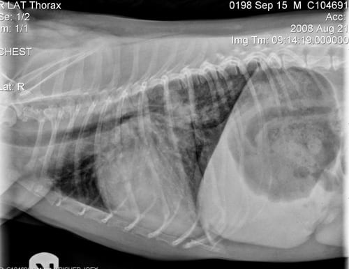 Radiograph-procedure