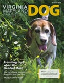 Virginia/Maryland dog magazine
