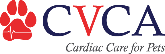 CVCA-logo No Background (1)