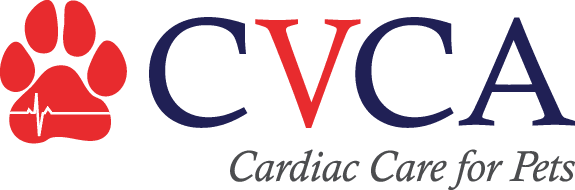 CVCA-logo