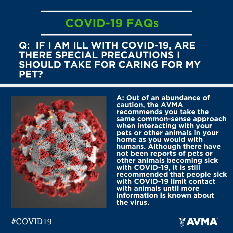 COVID-19 FAQs image
