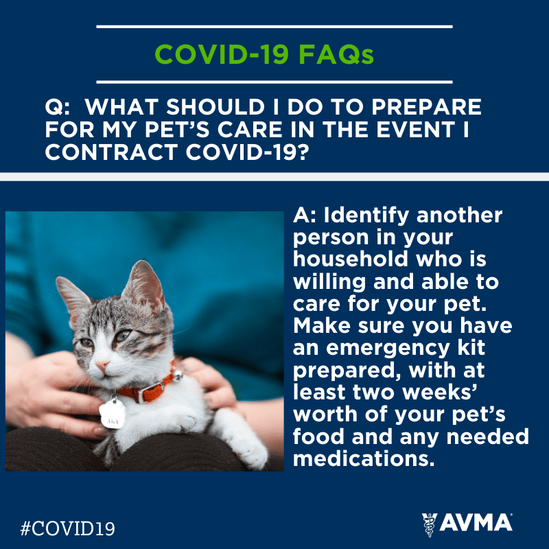 COVID-19 FAQs image