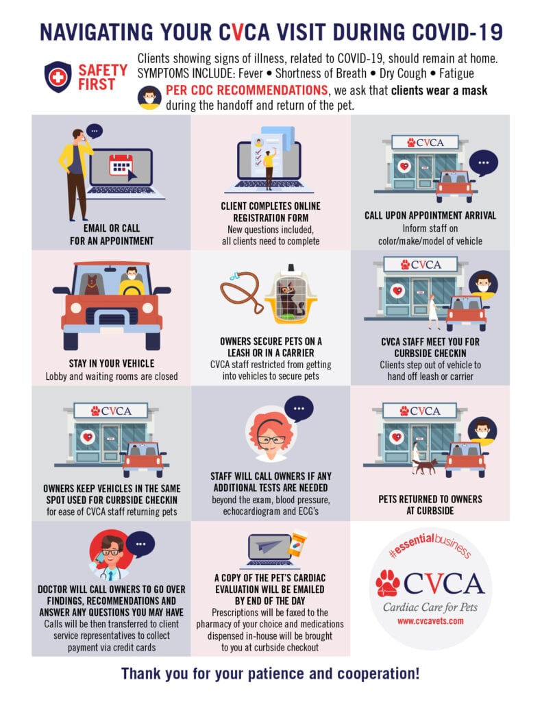 CVCA Infographic for COVID-19 Protocols