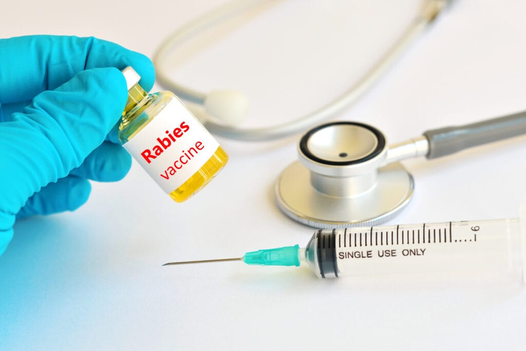rabies vaccine