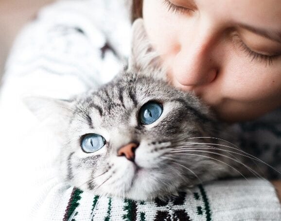 girl kissing her cat on the head
