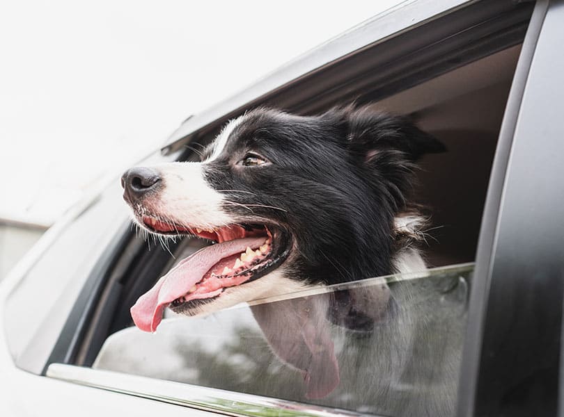 shutterstock_1757166380-resized shutterstock_1757166380-resized
