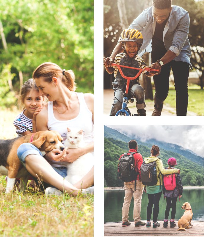 Collage of three images of families spending time together with their pets