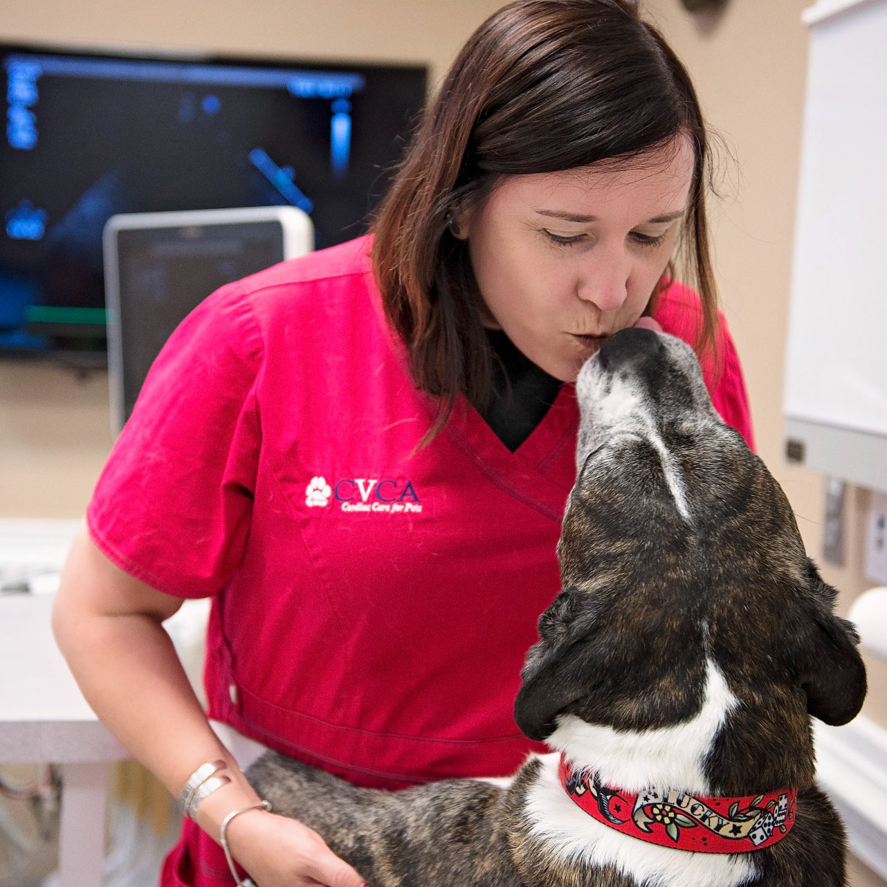 CVCA team member kisses dog's nose