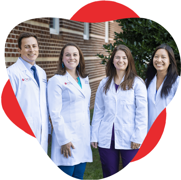 Team of four CVCA vet cardiologist diplomates