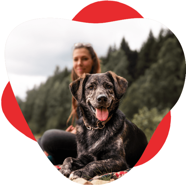 Dark brown dog lays on ground with tongue out while female owner smiles behind him