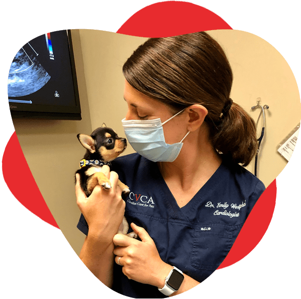 CVCA team member wears mask and touches noses with puppy she is holding