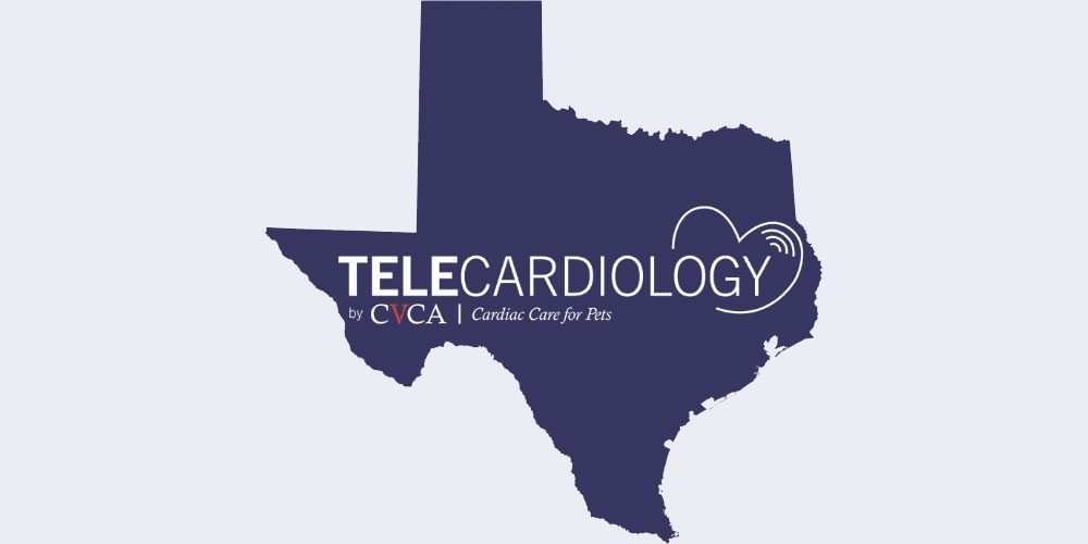 TeleCardiology-by-CVCA-in-Dallas,-Texas TeleCardiology-by-CVCA-in-Dallas,-Texas