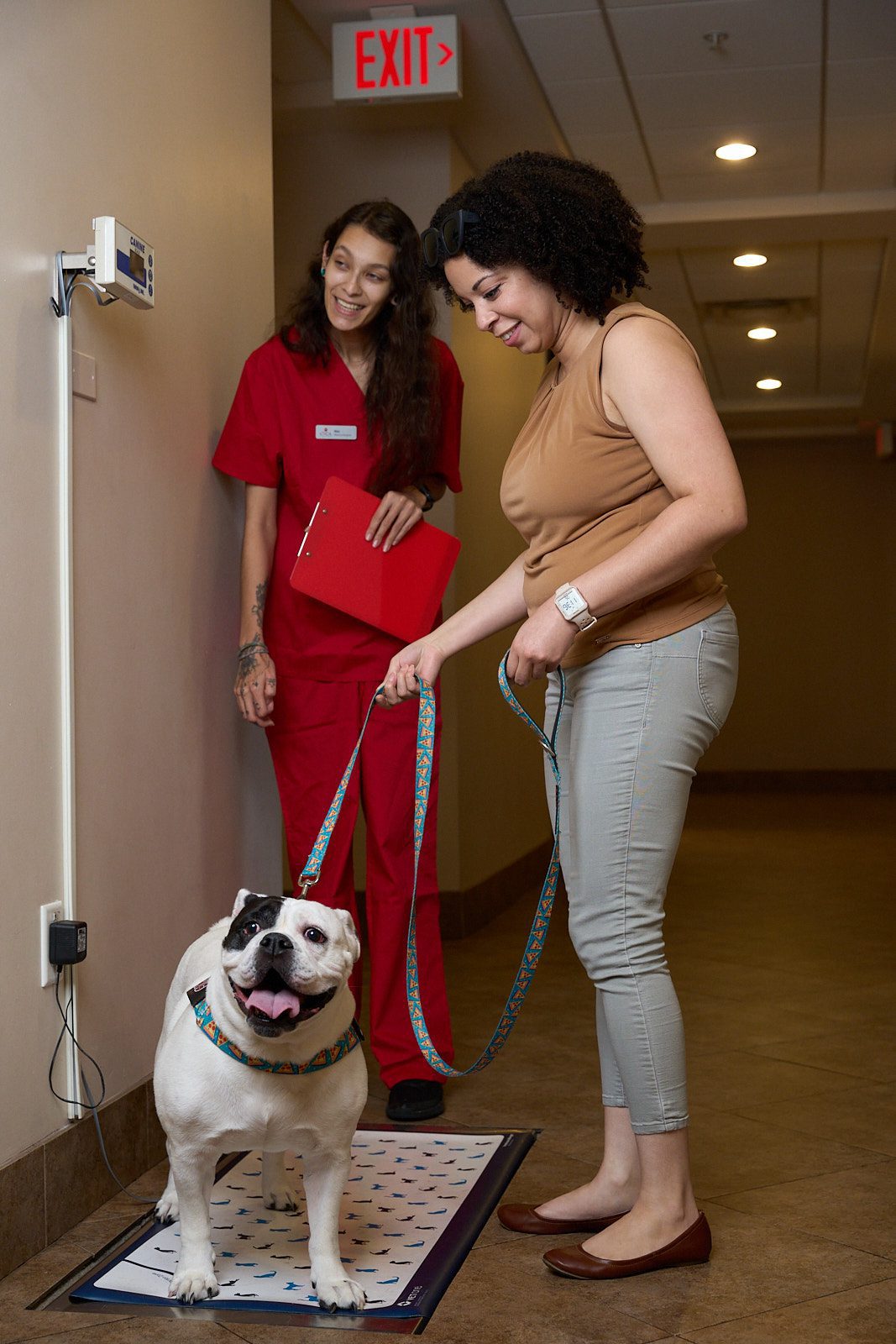 Nikki looking at scale as she takes the weight of the patient while their owner holds the leash