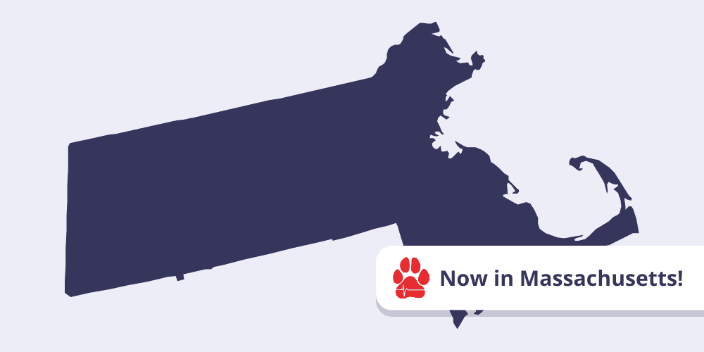 CVCA in Massachusetts CVCA in Massachusetts